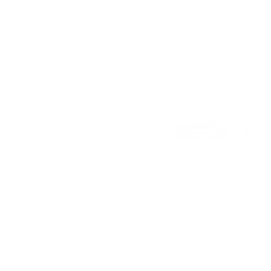 Orbea